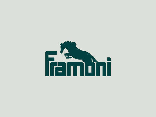 Team Framoni